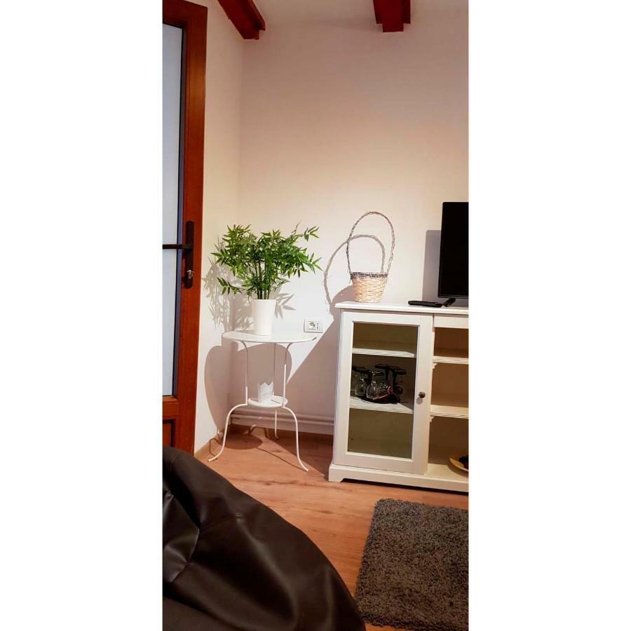 Vaso Apartament Sinaia Eksteriør bilde