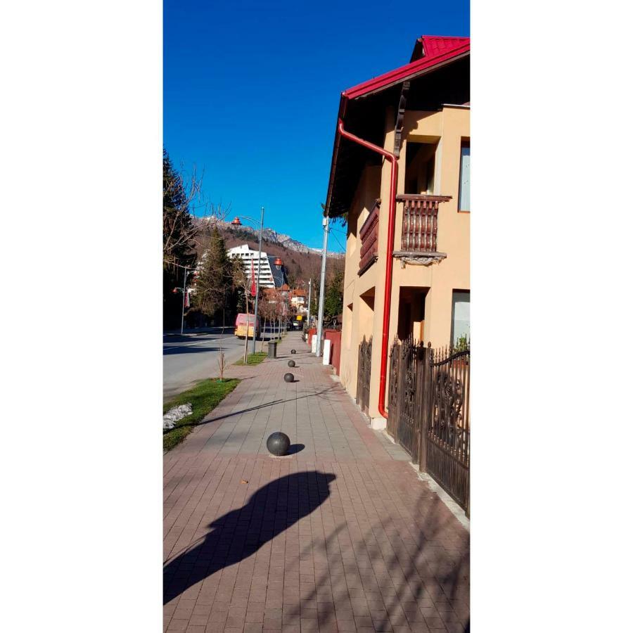 Vaso Apartament Sinaia Eksteriør bilde