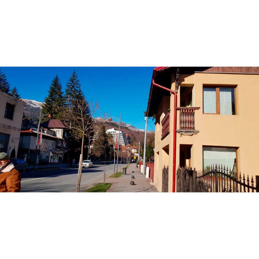 Vaso Apartament Sinaia Eksteriør bilde