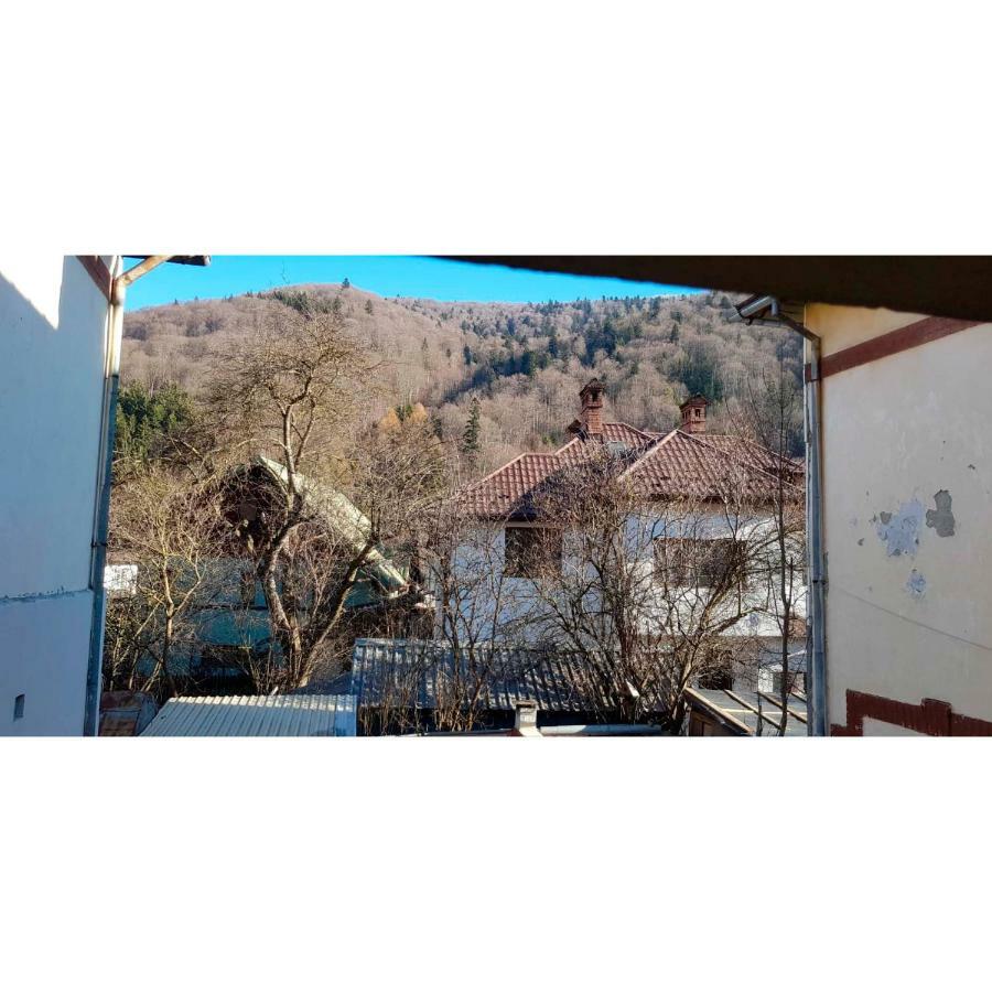 Vaso Apartament Sinaia Eksteriør bilde