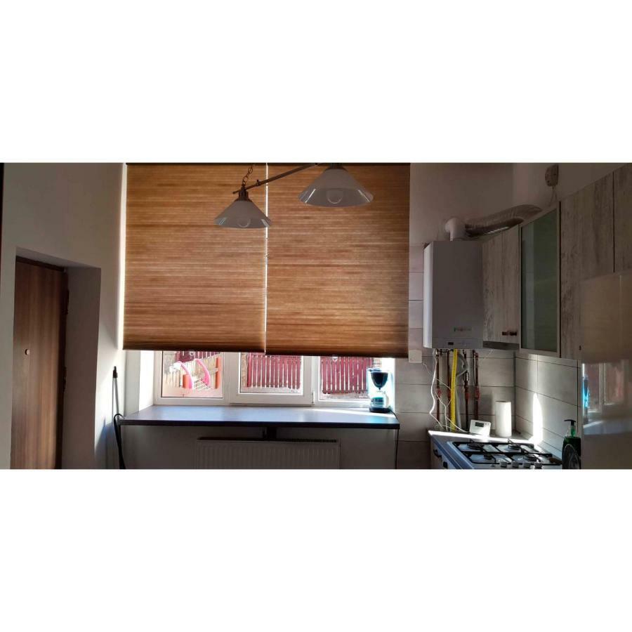 Vaso Apartament Sinaia Eksteriør bilde