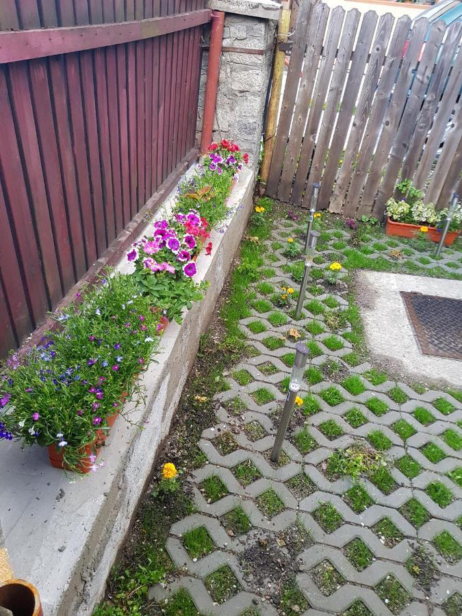 Vaso Apartament Sinaia Eksteriør bilde